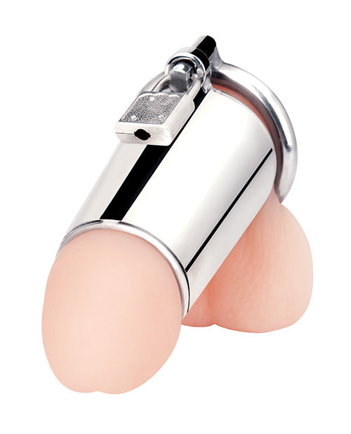 Blue Line Ultimate Cock Tease Cage - Silver Shipmysextoys