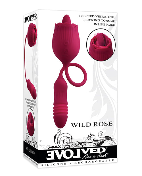 Evolved Wild Rose – Red