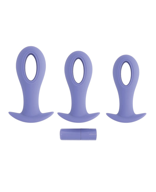 Evolved Hole Punch Anal Plug Set - Purple