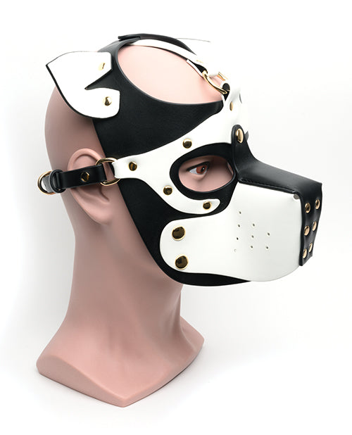 665 Bondage Pup Hood