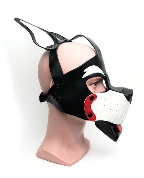 665 Playful Pup Hood