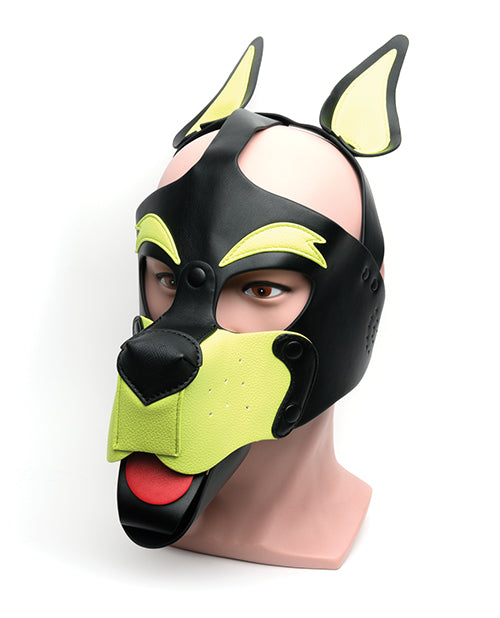 665 Playful Pup Hood