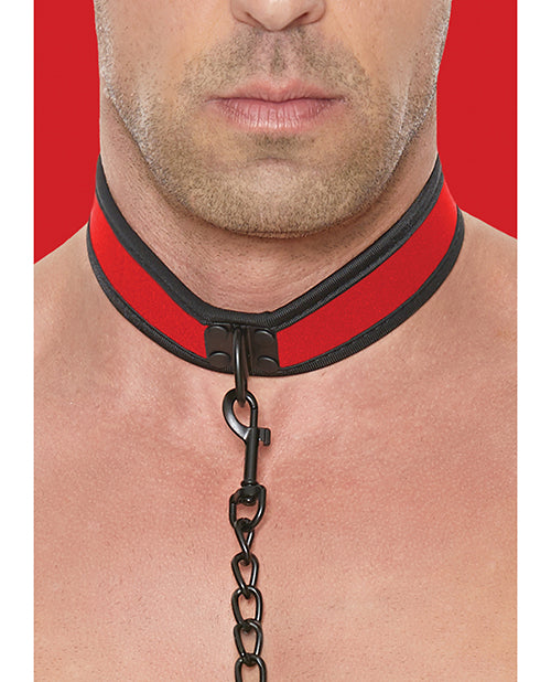 Shots Ouch Puppy Play Puppy Collar W/leash