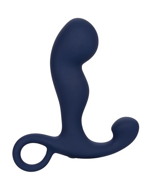 Viceroy Rechargeable Command Probe - Navy Shipmysextoys