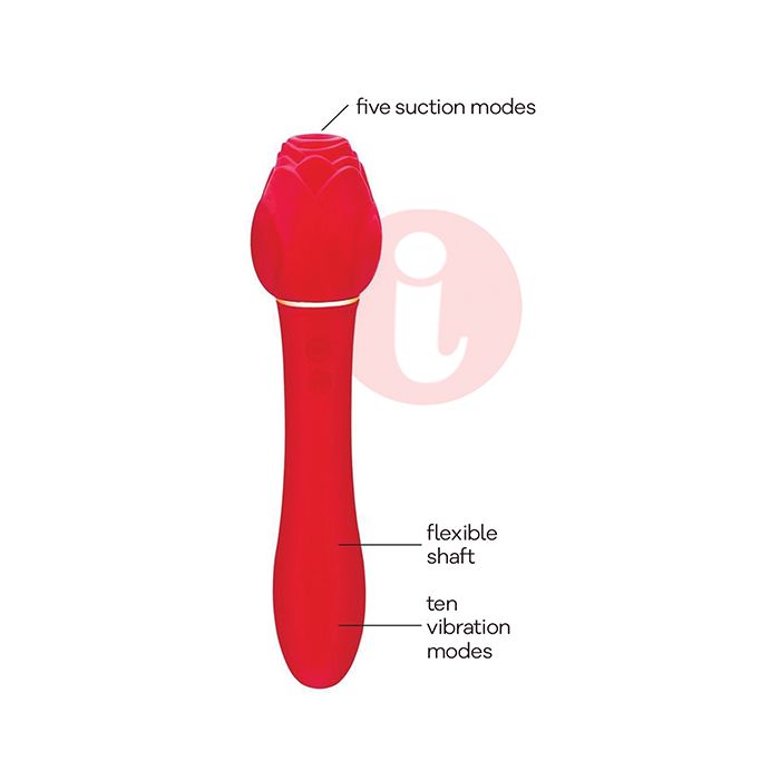 Wild Rose & Vibrator - Red