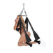 Yoga Pleasure Swing